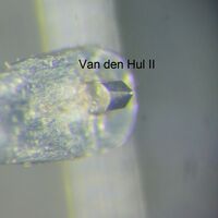 Schliff Van Den Hul II